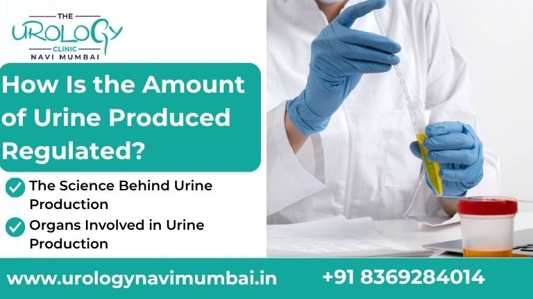 Urine Culture Test Cost in India