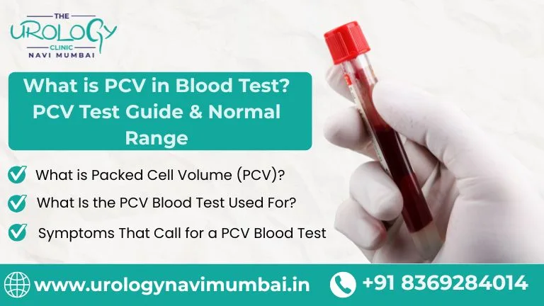 What is PCV in Blood Test? PCV Test Guide & Normal Range