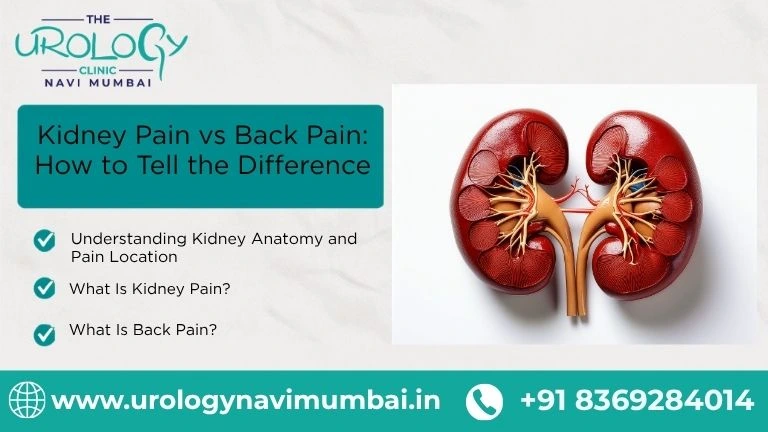 Kidney Pain vs Back Pain: How to Tell the Difference