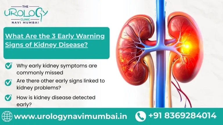 What Are the 3 Early Warning Signs of Kidney Disease?