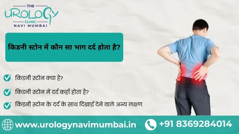 kidney stone pain area in hindi​
